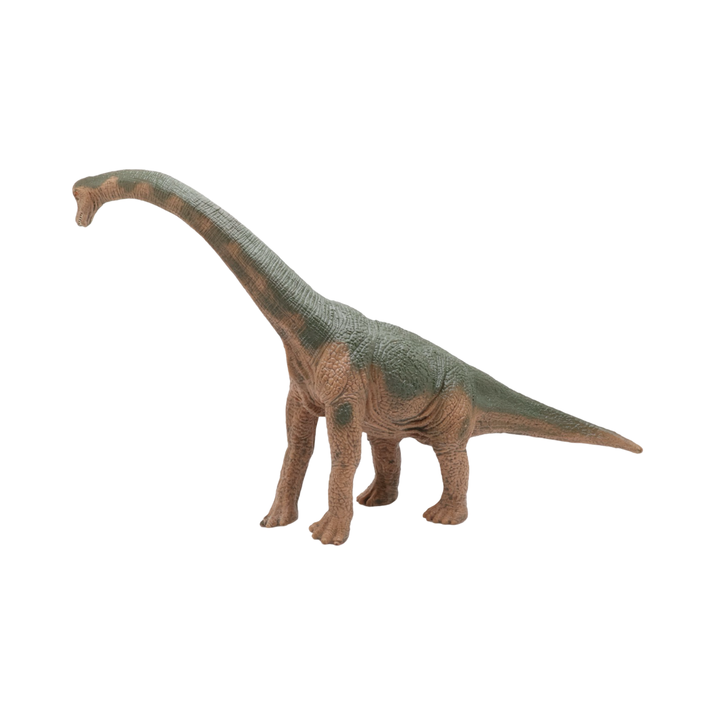Brachiosaurus $9.99 Value Series 12” Size