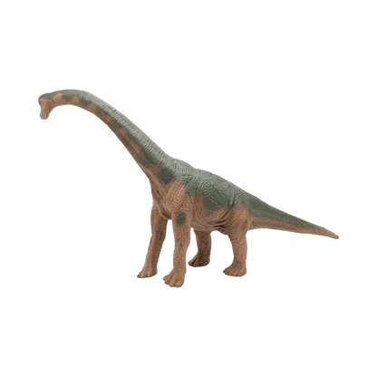 Brachiosaurus $9.99 Value Series 12” Size