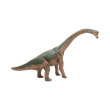 Brachiosaurus $9.99 Value Series 12” Size