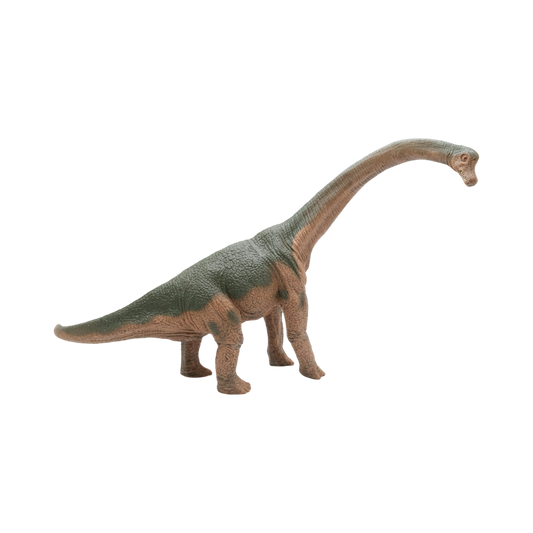 Brachiosaurus $9.99 Value Series 12” Size