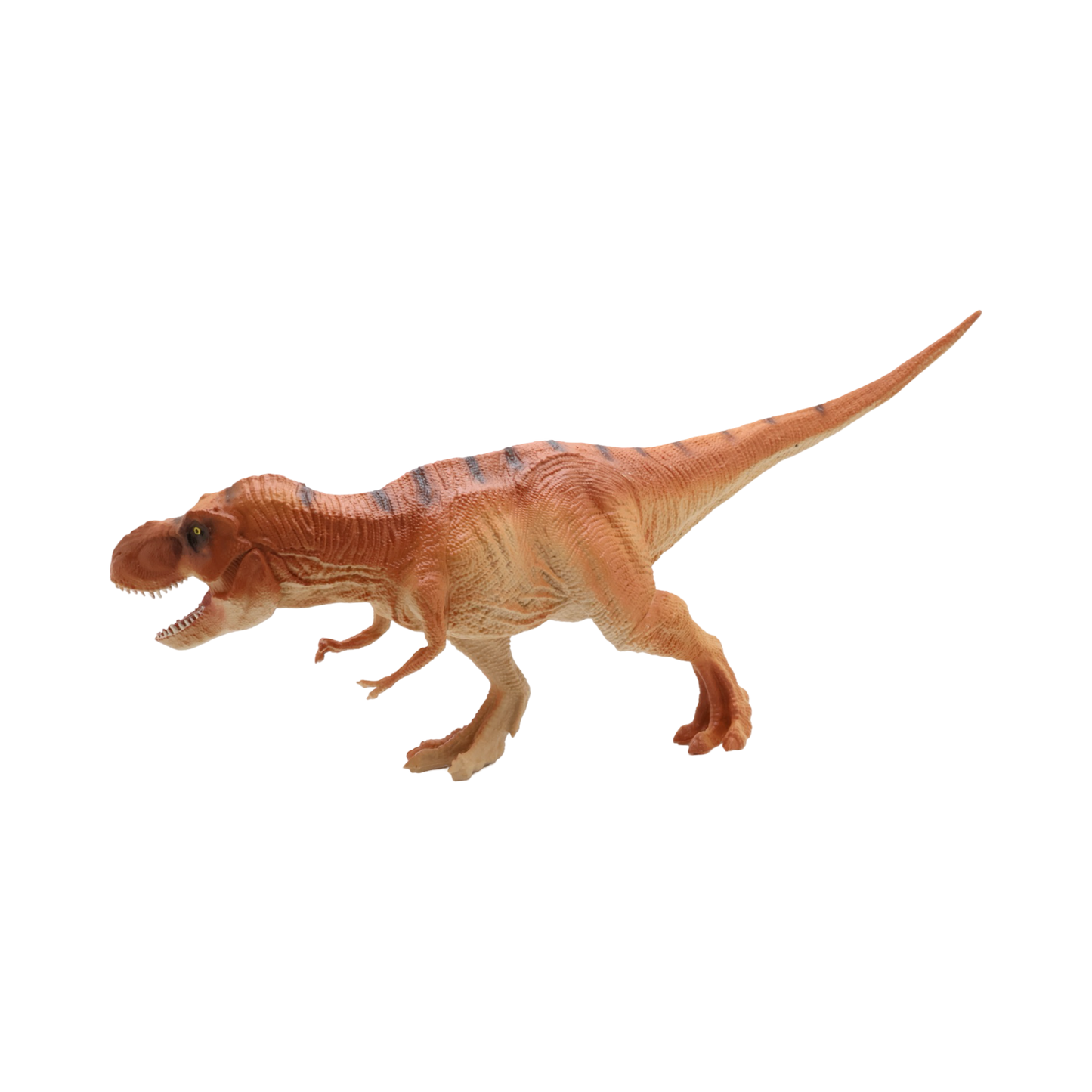 Tyrannosaurus Rex $9.99 Value Series 14” Size