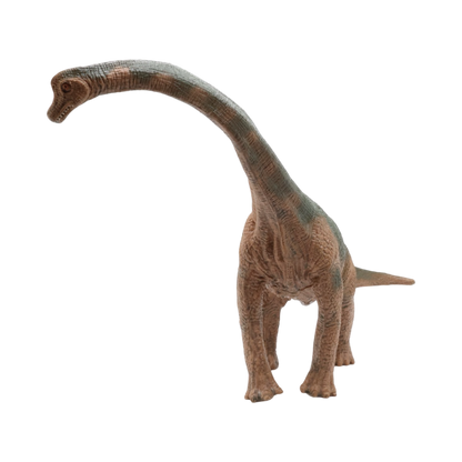 Brachiosaurus $9.99 Value Series 12” Size
