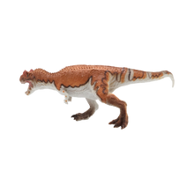 Ceratosaurus $9.99 Value Series 11” Size