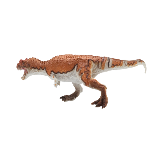 Ceratosaurus $9.99 Value Series 11” Size