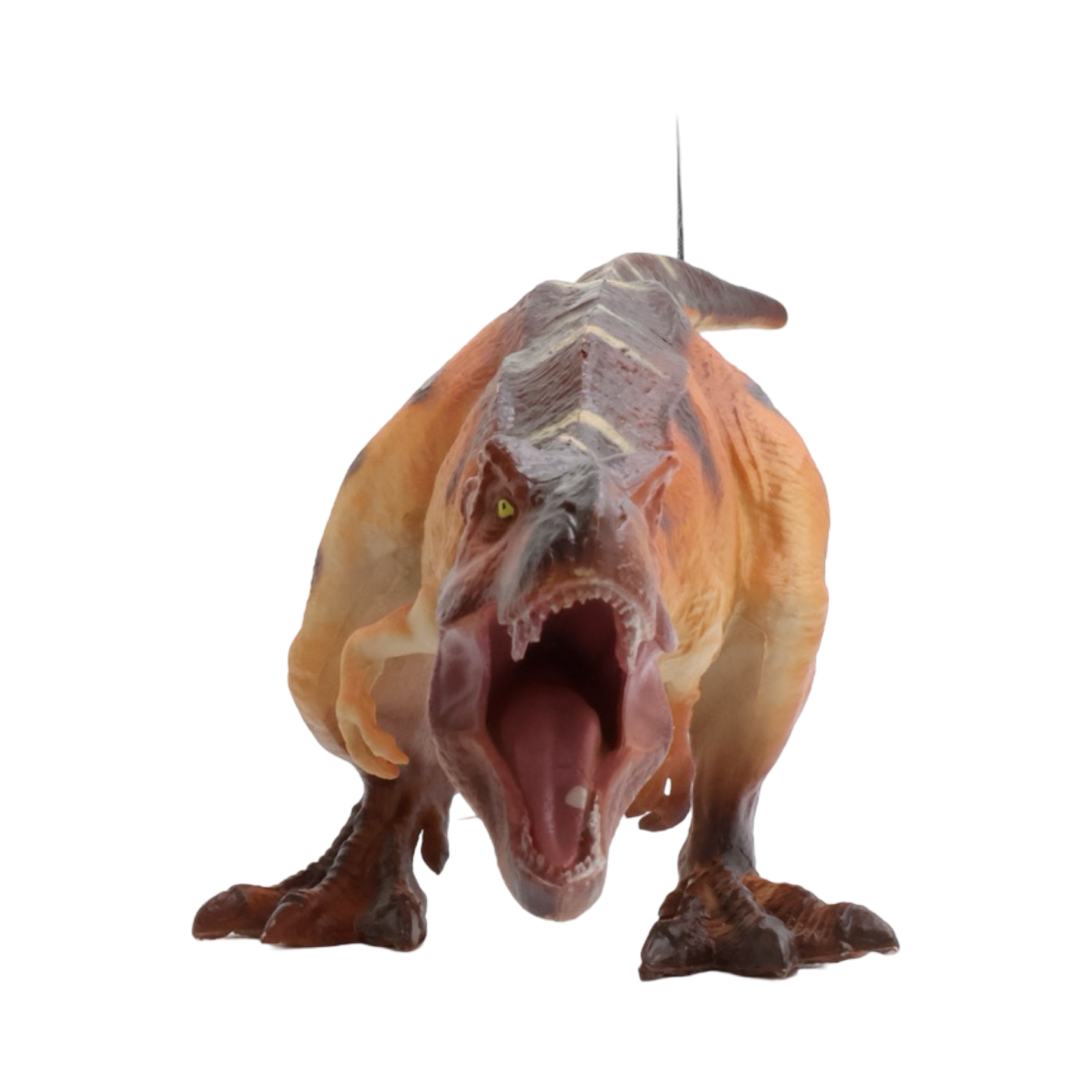 Roaring Tyrannosaurus Rex $9.99 Value Series 11” Size