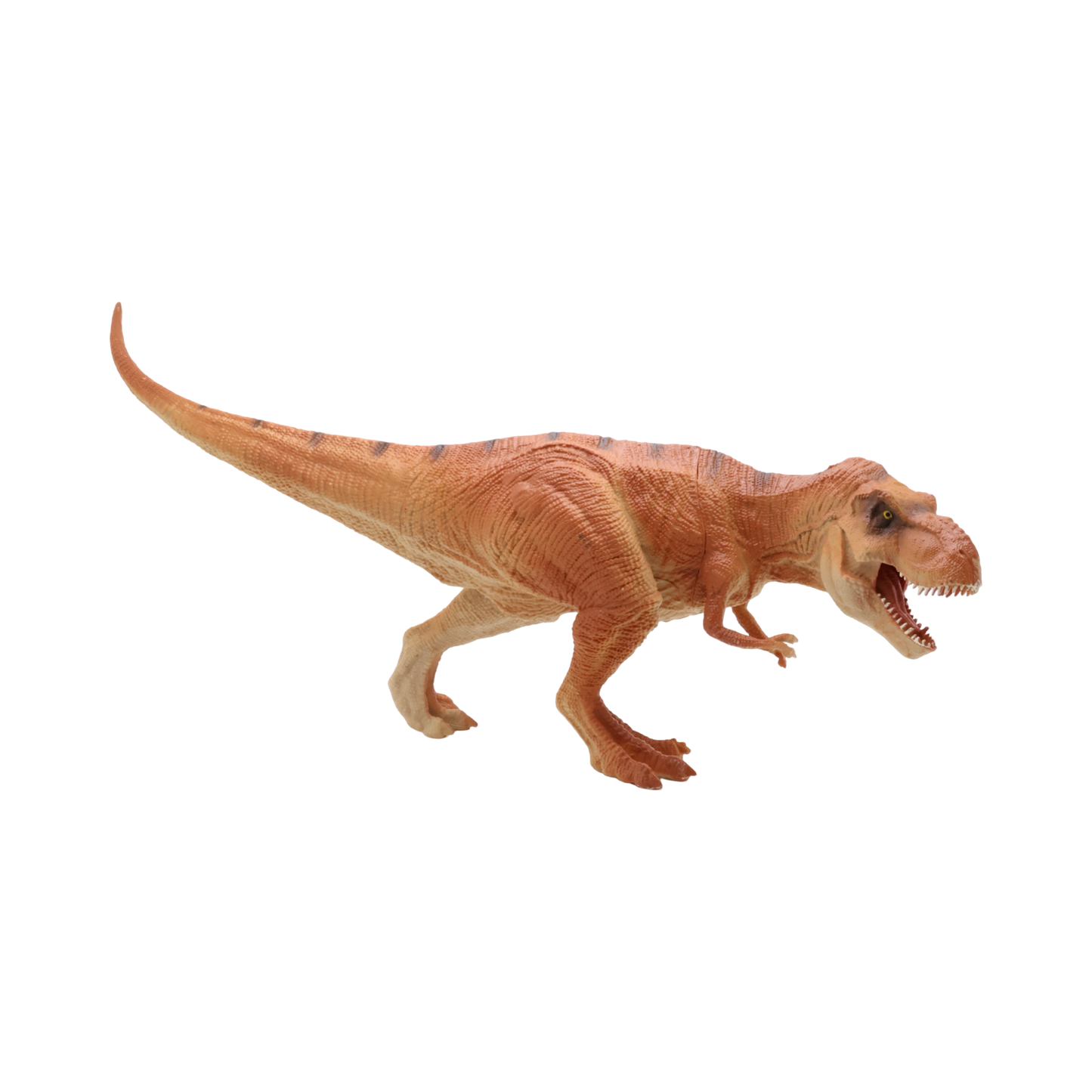 Tyrannosaurus Rex $9.99 Value Series 14” Size