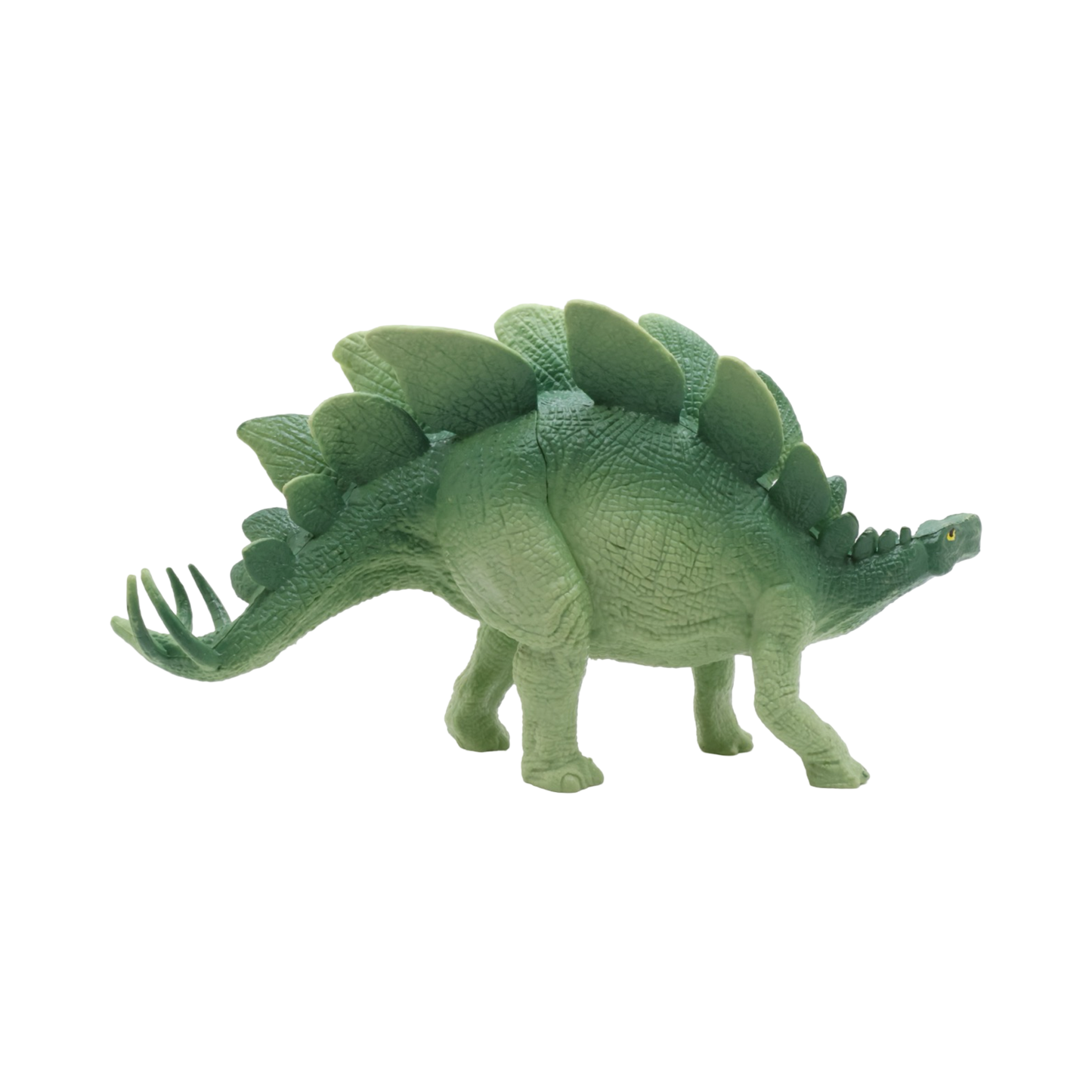 Stegosaurus $9.99 Value Series 8” Size