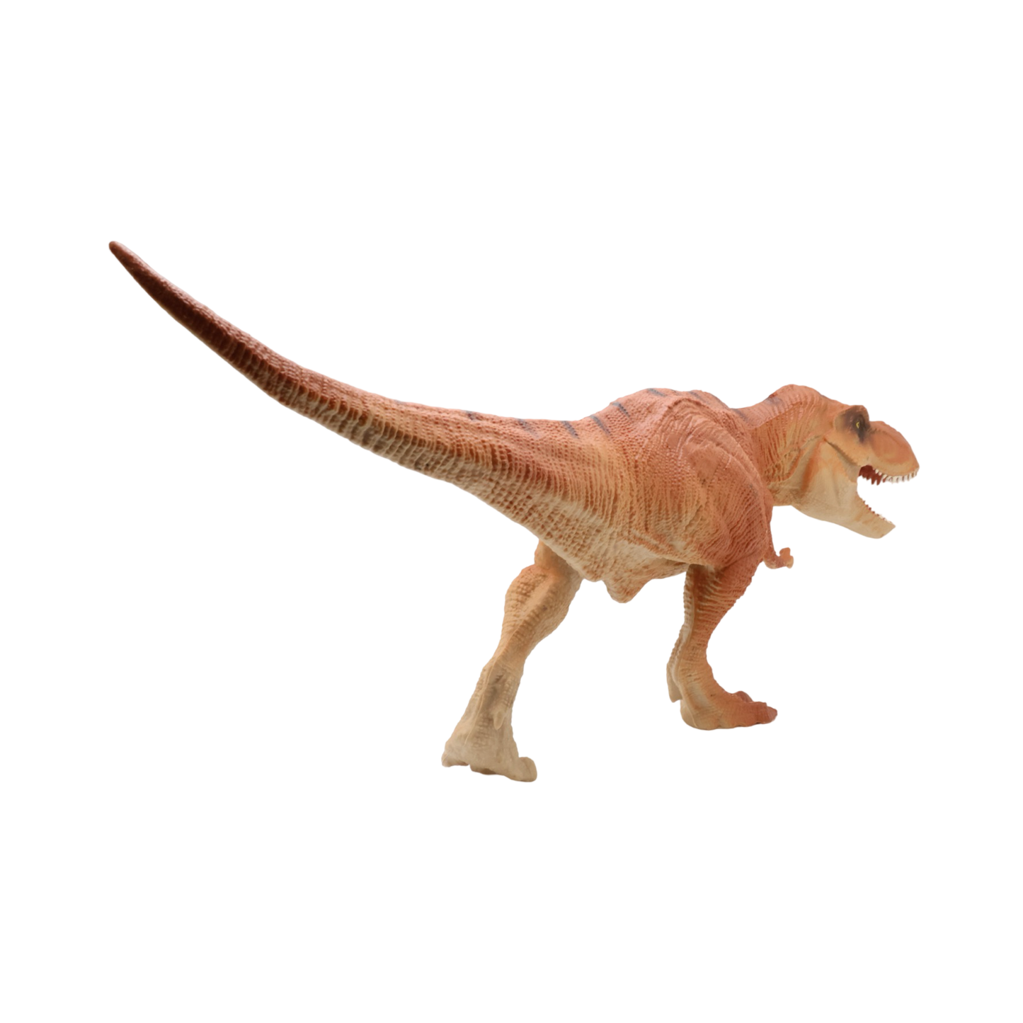 Tyrannosaurus Rex $9.99 Value Series 14” Size