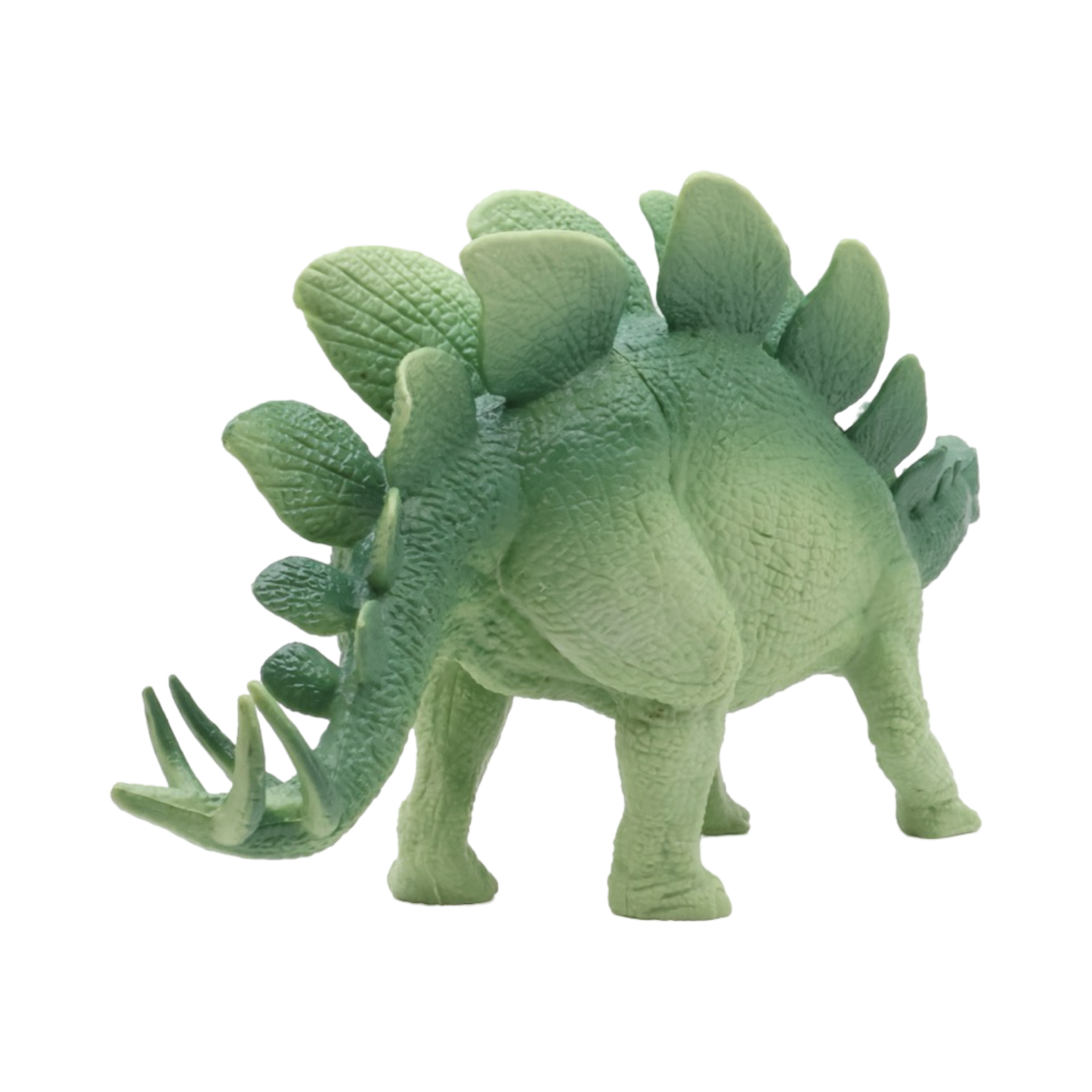 Stegosaurus $9.99 Value Series 8” Size