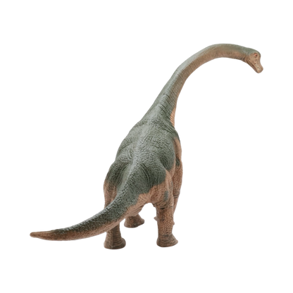 Brachiosaurus $9.99 Value Series 12” Size
