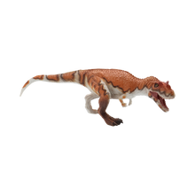 Ceratosaurus $9.99 Value Series 11” Size