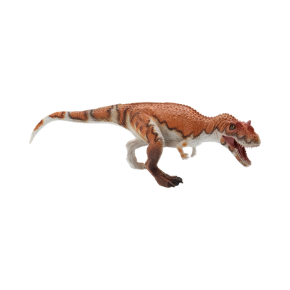 Ceratosaurus $9.99 Value Series 11” Size