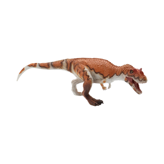 Ceratosaurus $9.99 Value Series 11” Size