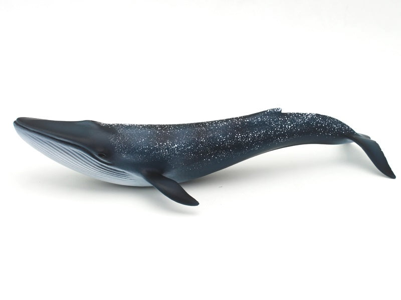 Blue Whale Figure