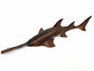 Sawfish Figure