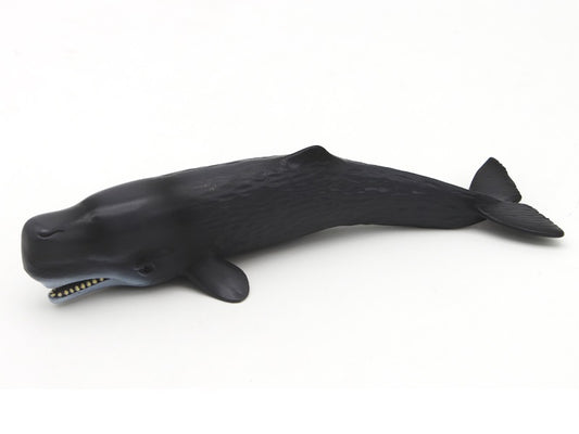 Sperm Whale Figure